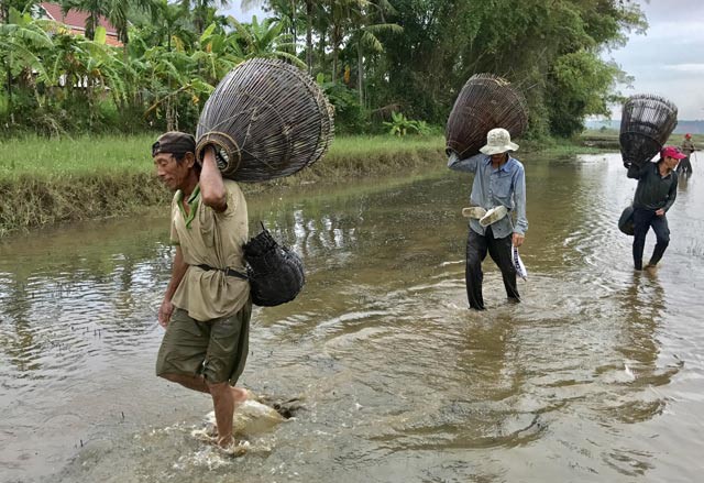 Đủ loại tôm, cá đồng tràn về đầu cầu Trà Khúc - Ảnh 4.
