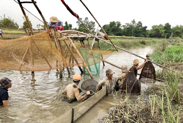 Đủ loại tôm, cá đồng tràn về đầu cầu Trà Khúc - Ảnh 3.