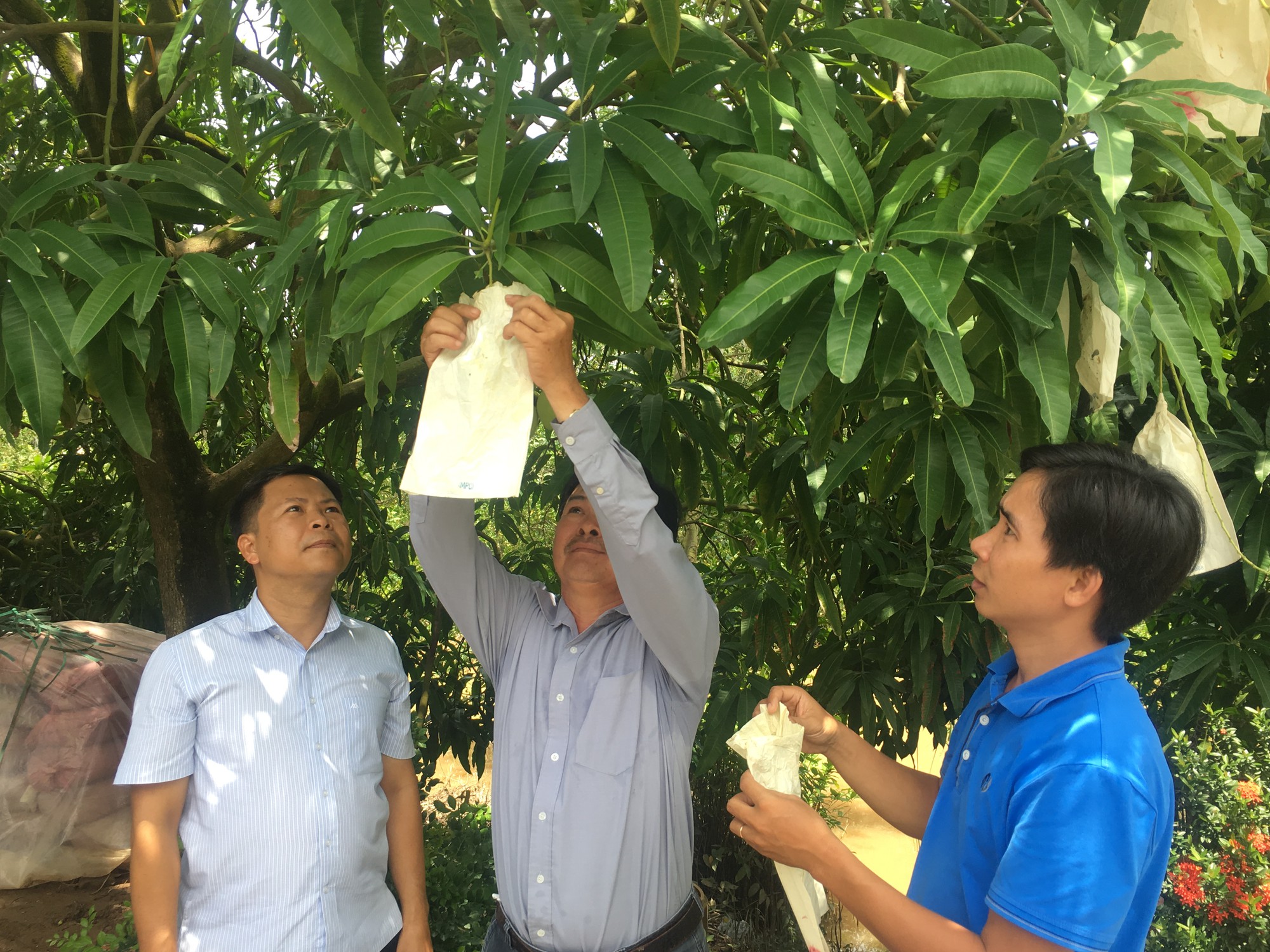 Thú vị dịch vụ trồng cây qua mạng