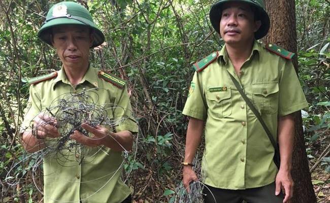 Kinh hãi dày đặc hơn 300 bẫy "tận diệt" thú rừng trên núi
