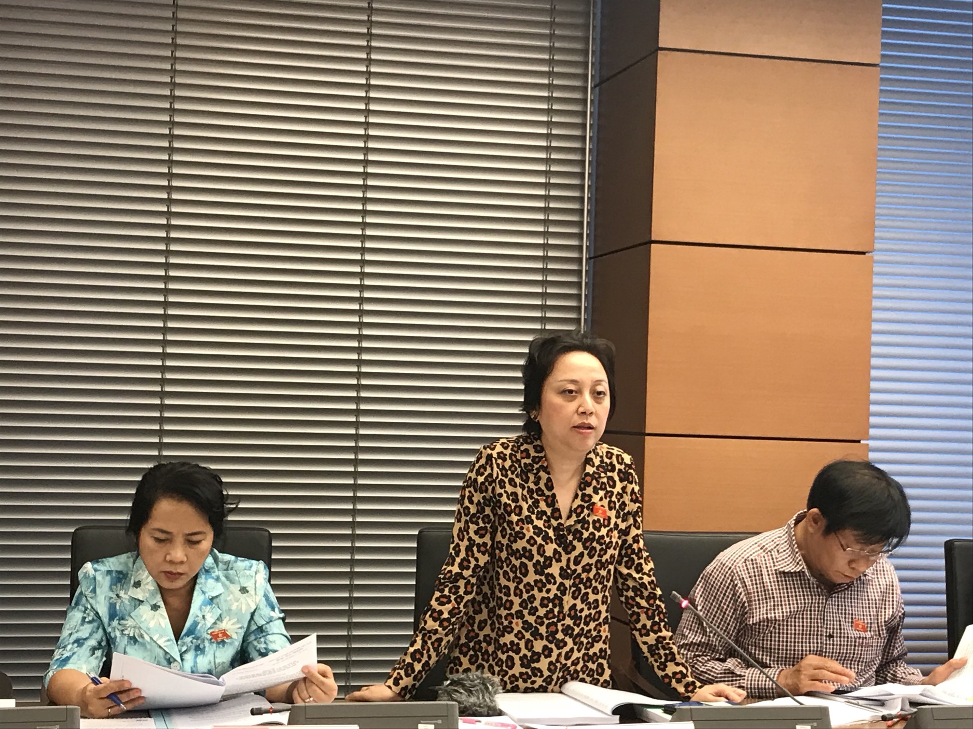 ĐB Phạm Khánh Phong Lan: Thật đáng buồn khi sữa thì đắt mà rượu, bia lại rẻ
