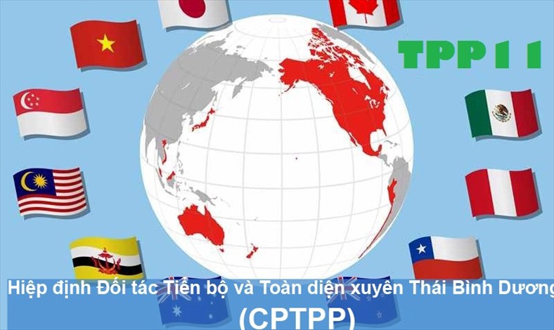 Việt Nam chính thức tham gia CPTPP