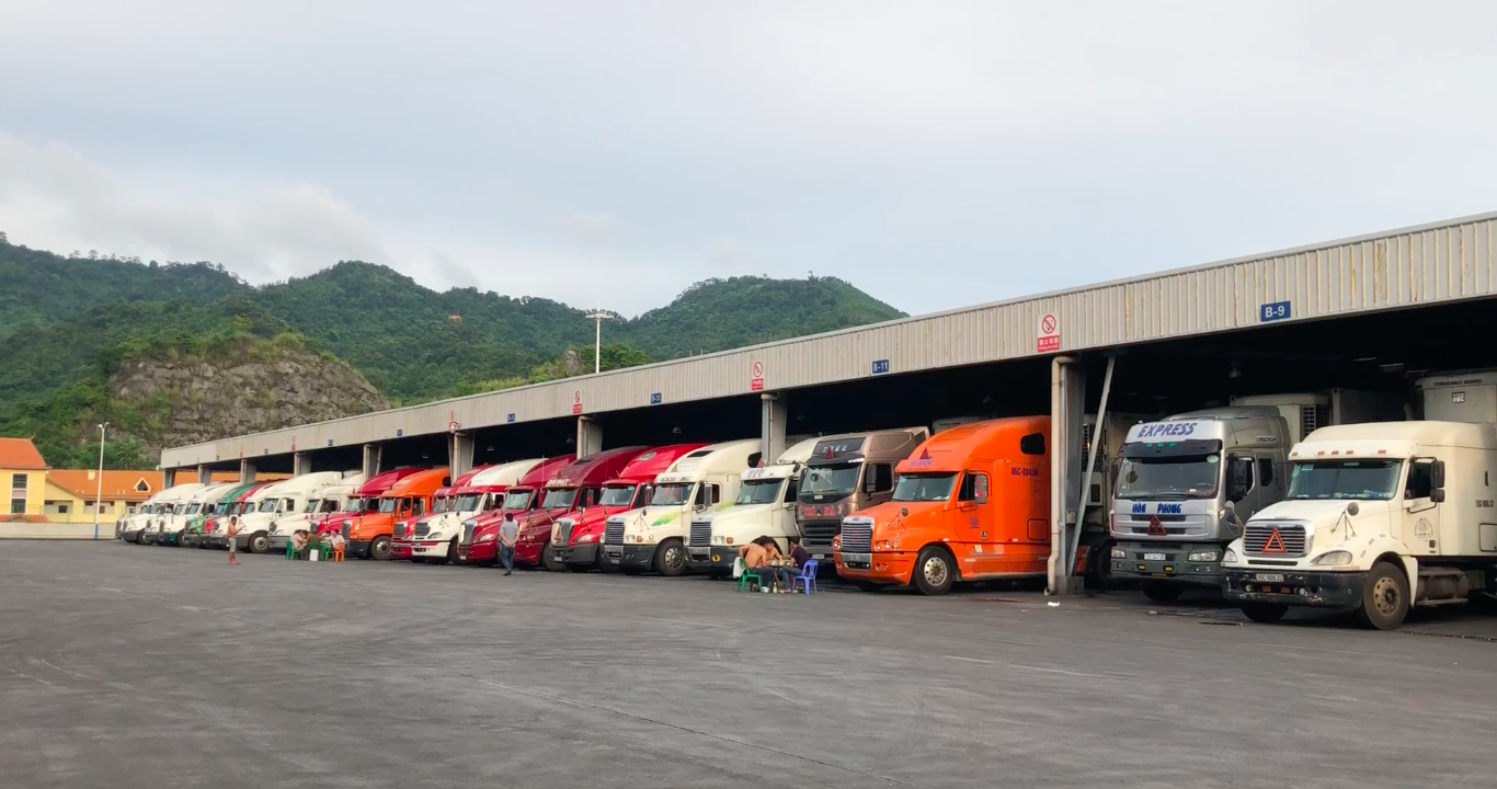 Vắng b&oacute;ng thương l&aacute;i mua sầu ri&ecirc;ng, n&ocirc;ng d&acirc;n miền T&acirc;y lo lắng - Ảnh 2.