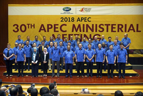 Dấu ấn Việt Nam sau 20 năm gia nhập APEC