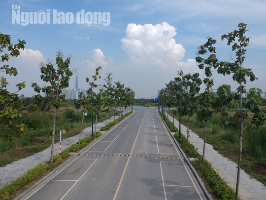 Cận cảnh 4 tuyến đường lùm xùm ở Thủ Thiêm - Ảnh 10.