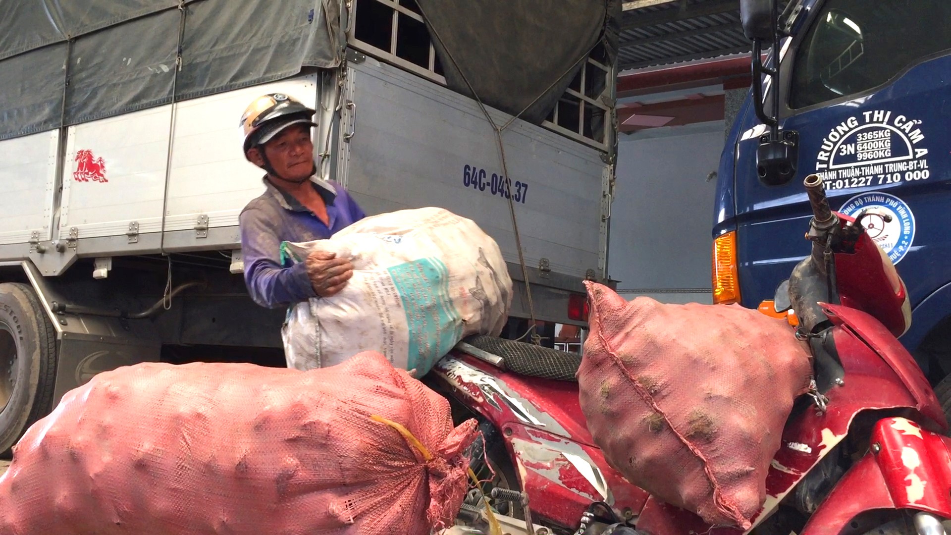 Trung Quốc ngừng mua khoai lang, n&ocirc;ng d&acirc;n vẫn &ldquo;liều m&igrave;nh&rdquo; xuống vụ mới - Ảnh 1.