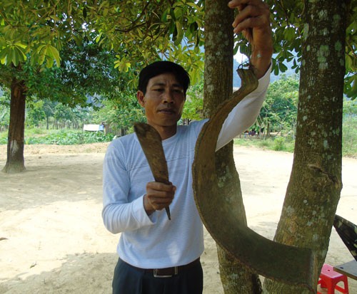 Hạnh ph&uacute;c của người thầy: Gieo chữ dưới c&aacute;nh rừng - Ảnh 1.