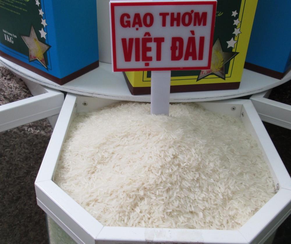 22 doanh nghiệp Trung Quốc nhập khẩu gạo đến Việt Nam