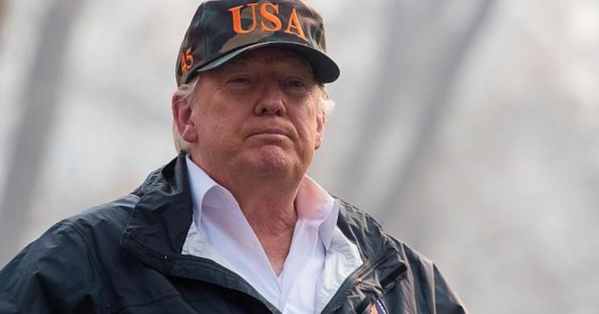 Nói Phần Lan cào cỏ khô để ngăn cháy rừng, ông Trump bị chế nhạo