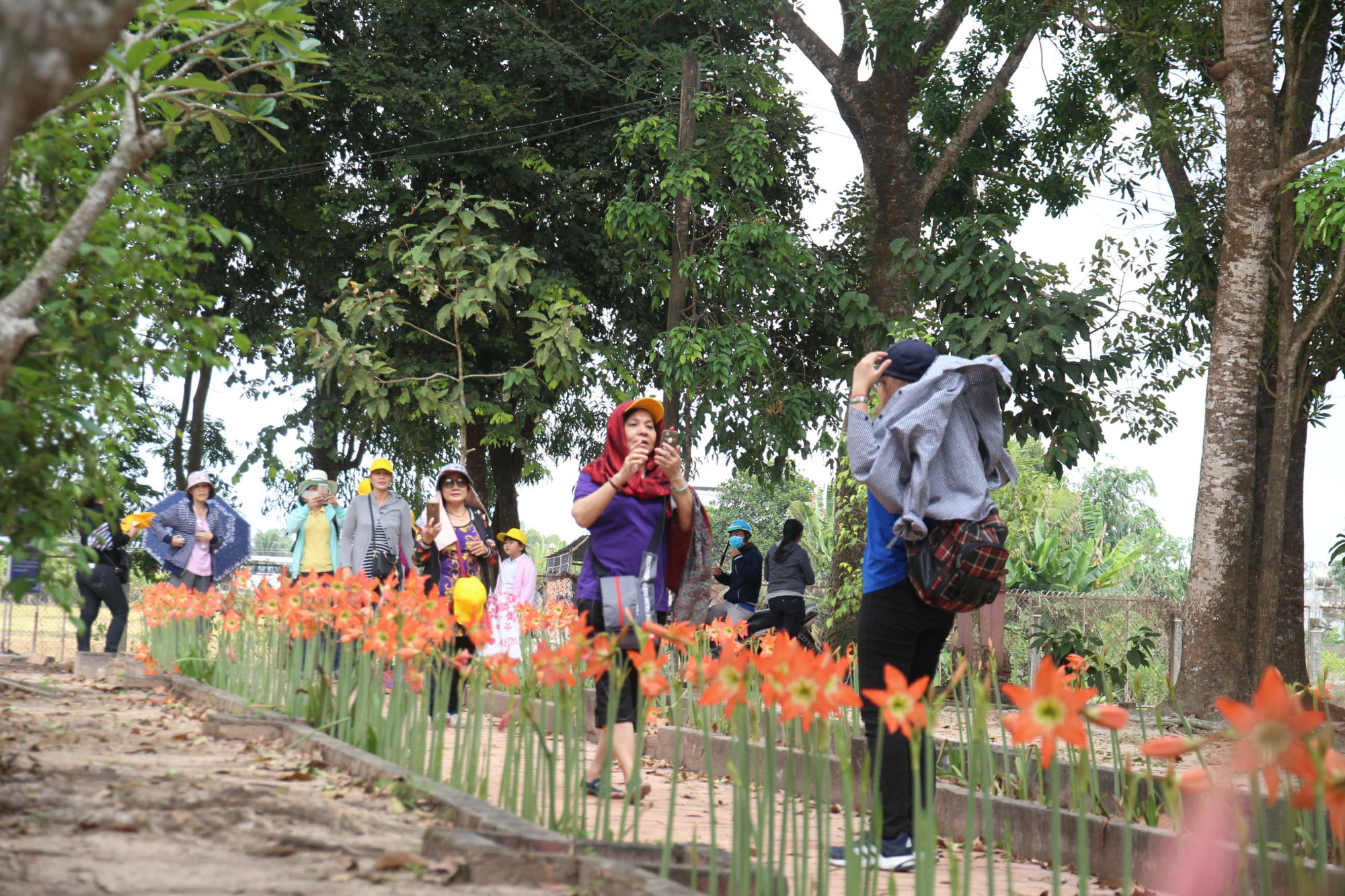 Đi qua miền đất nắng - Ảnh 5.