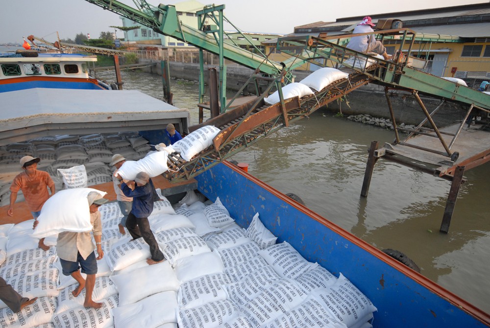 Giá gạo xuất khẩu đang ở mức cao