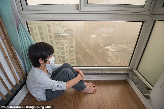 T&aacute;c nh&acirc;n tăng nguy cơ tự kỷ đ&aacute;ng sợ ở c&aacute;c th&agrave;nh phố lớn - Ảnh 1.