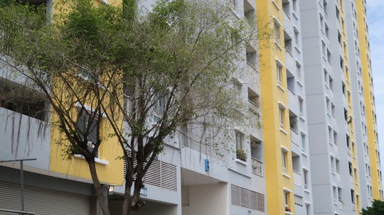Vụ cháy chung cư Carina: Cựu Tổng giám đốc Công ty Hùng Thanh được tại ngoại