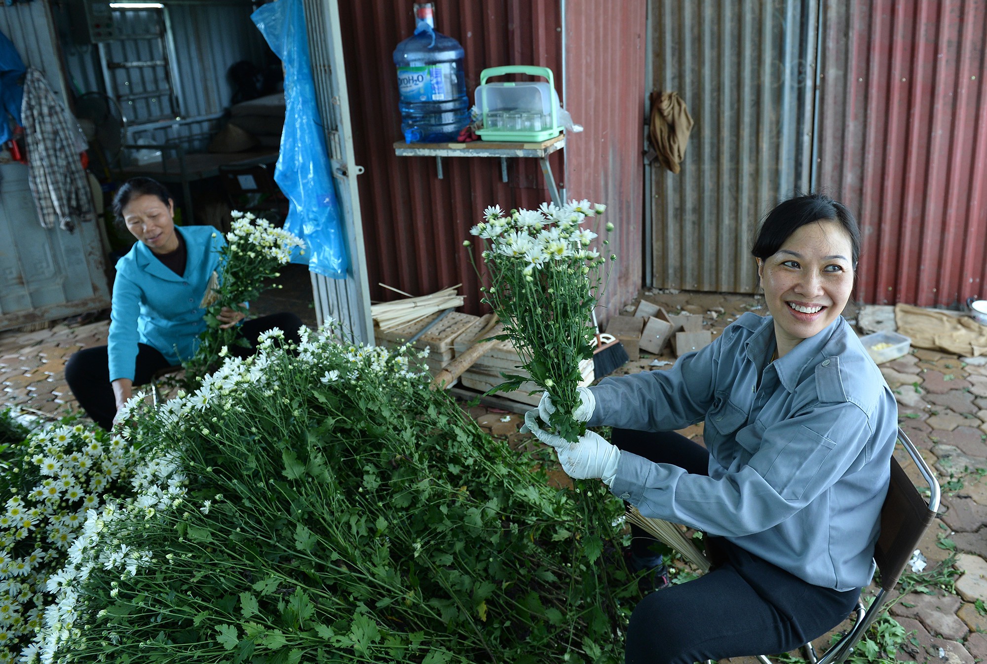 Xuyến xao mùa cúc họa mi đón đông về giữa lòng Hà Nội - Ảnh 55.