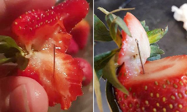 Đủ tr&ograve; khủng bố thực phẩm - Ảnh 2.