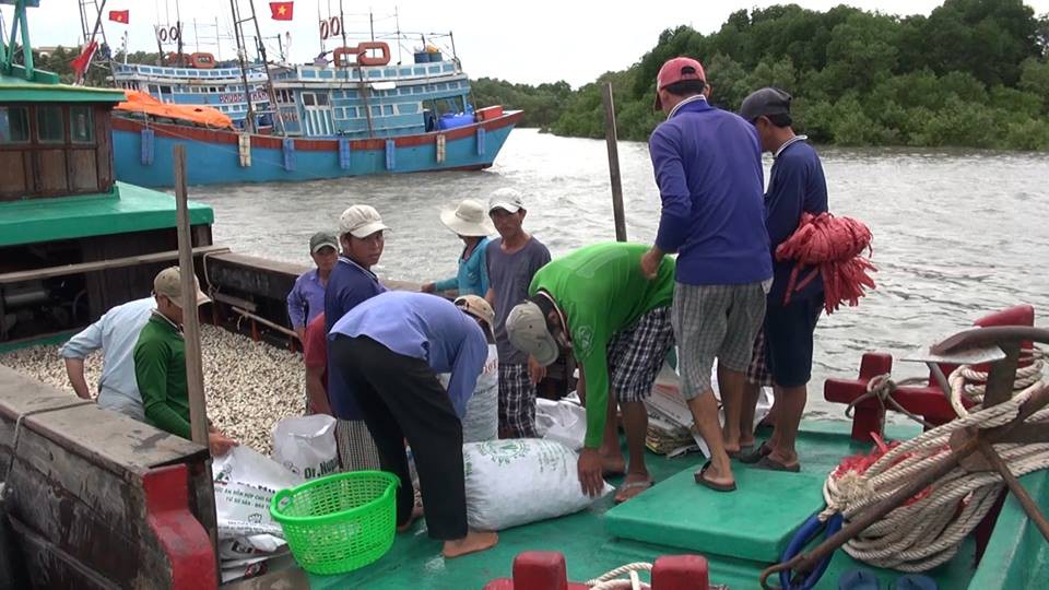 Dân biển Cần Giờ "hốt cú chót" trước khi tránh bão số 9