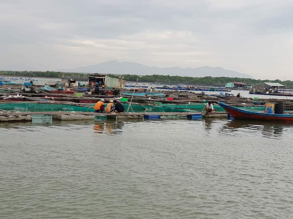 Bà Rịa - Vũng Tàu gõ cửa nhà dân vận động đến nơi an toàn - Ảnh 8.