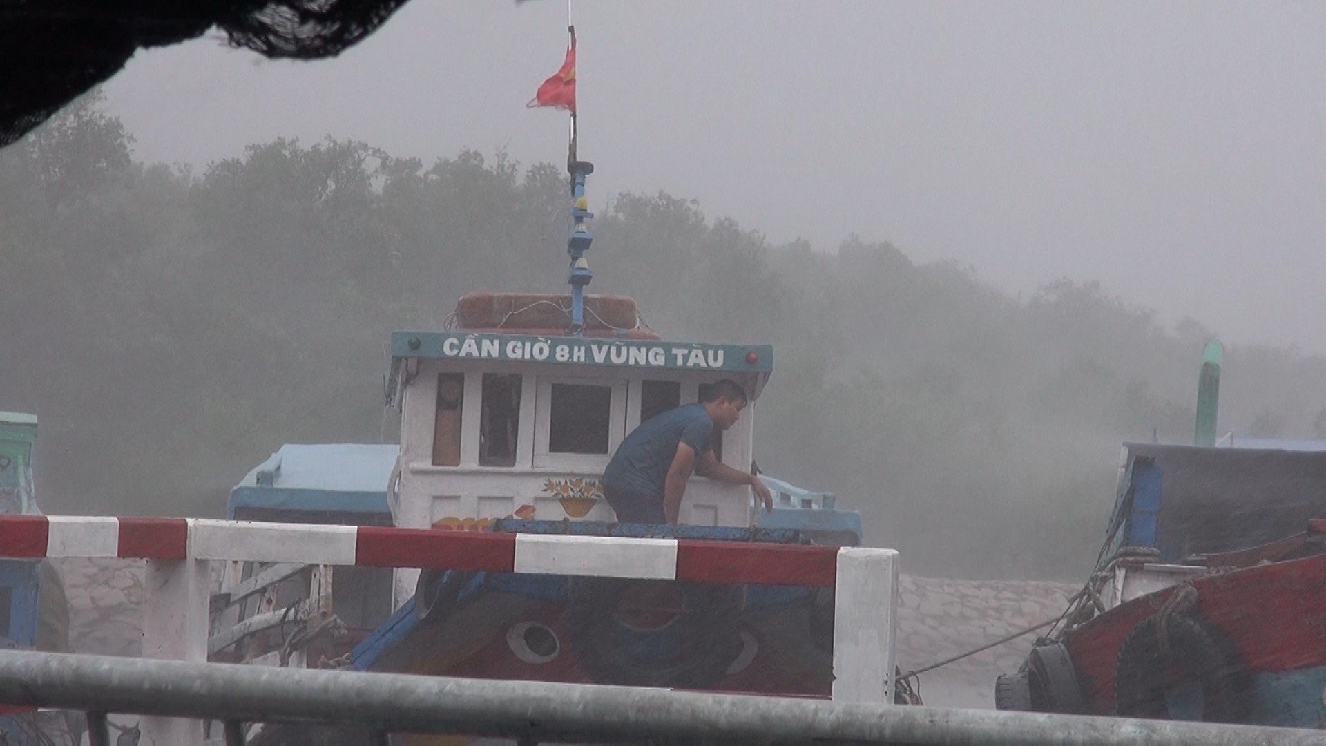 Ảnh hưởng bão số 9, Cần Giờ mưa lớn, cây xanh bật gốc, nhà tốc mái - Ảnh 9.