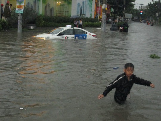 Ảnh hưởng bão số 9: TP HCM mưa lớn, cây gãy đổ đè chết người đi đường - Ảnh 5.