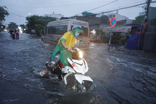 Ảnh hưởng bão số 9: TP HCM mưa lớn, cây gãy đổ đè chết người đi đường - Ảnh 3.