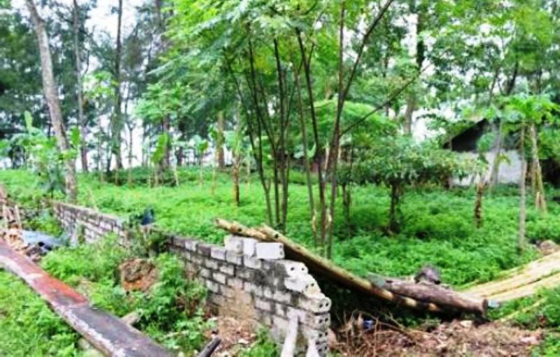 Hàng loạt cán bộ TP Sầm Sơn bị kỷ luật do sai phạm quản lý đất đai
