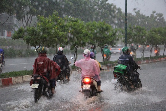 TP HCM ngập tr&ecirc;n diện rộng - Ảnh 12.
