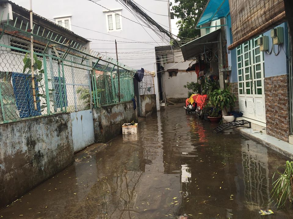 S&aacute;ng 26-11, TPHCM nhiều nơi vẫn ngập s&acirc;u, r&aacute;c, nh&aacute;nh c&acirc;y g&atilde;y la liệt - Ảnh 13.