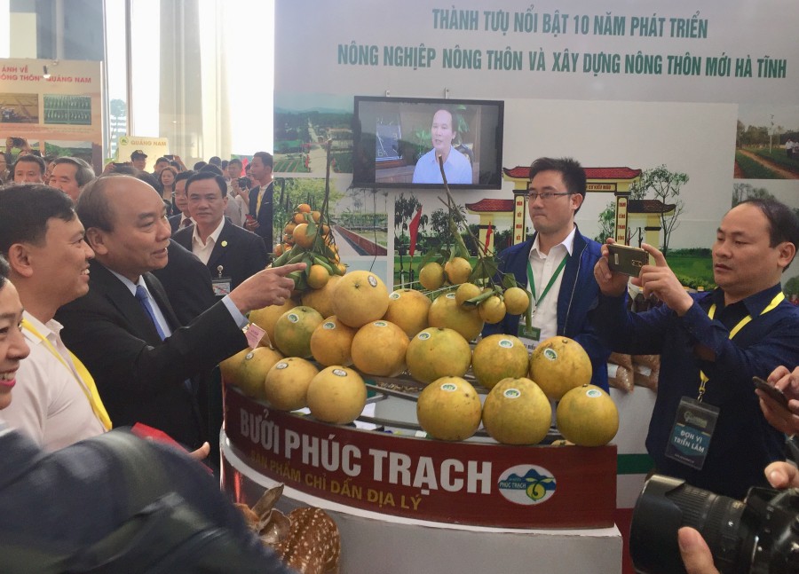 Thủ tướng Nguyễn Xuân Phúc khen ngợi bưởi Phúc Trạch