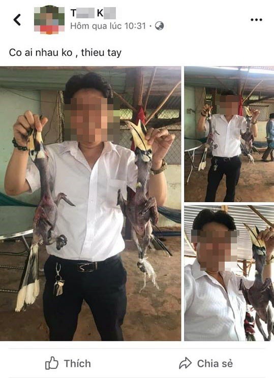 Con chim bị vặt trụi lông, khoe trên mạng có phải là Hồng Hoàng?