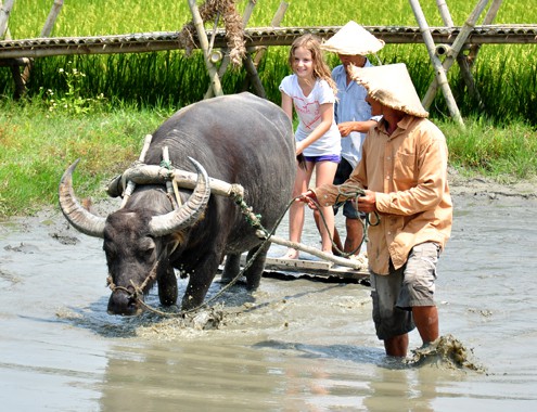 Du lịch Việt Nam nhìn từ vụ chia đôi đoàn 4.000 khách