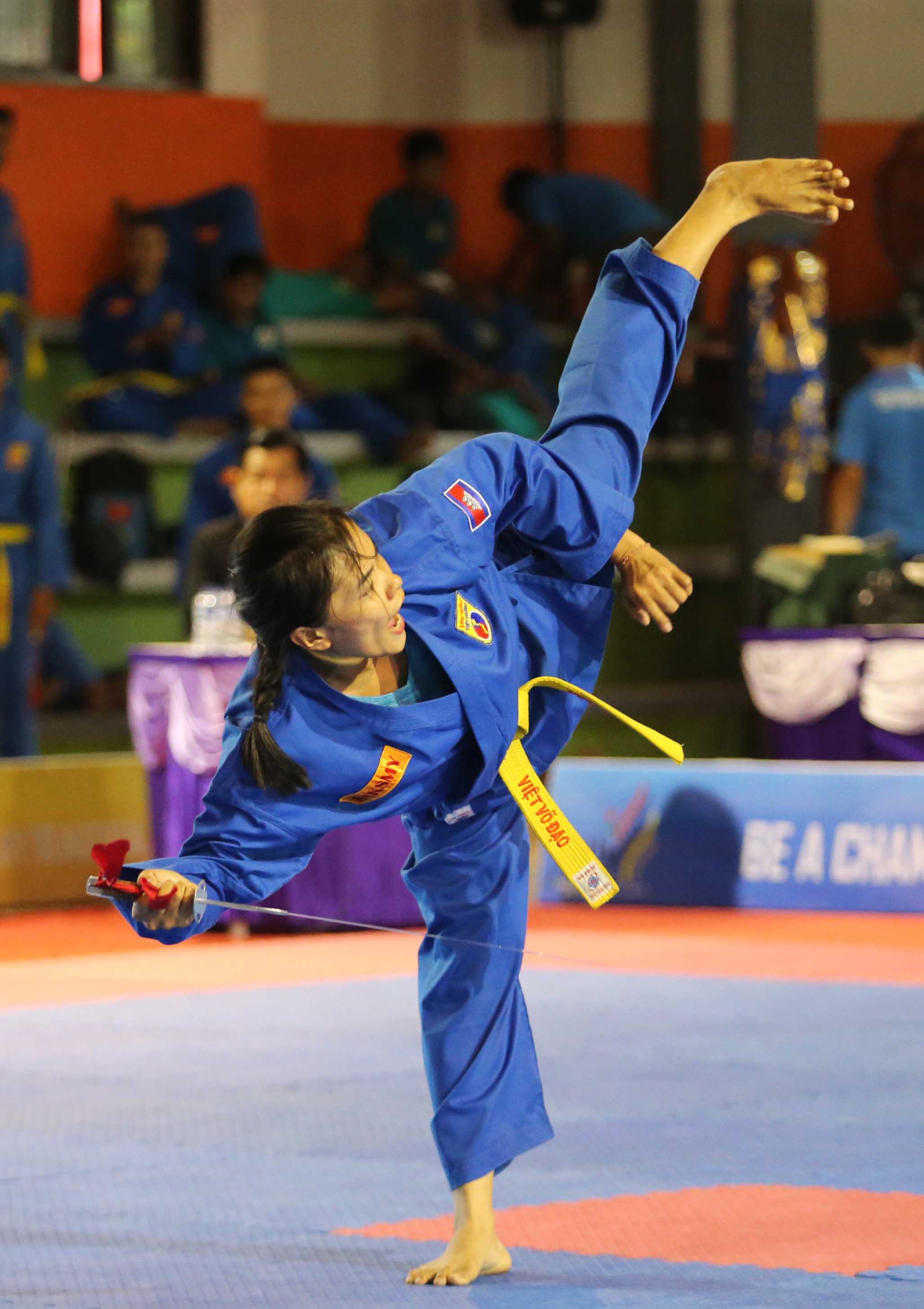 Vovinam c&oacute; mặt ở SEA Games 2019 - Ảnh 2.