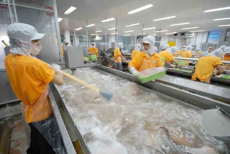 Cải cách để hưởng lợi từ CPTPP