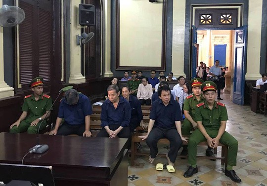 Bác toàn bộ kháng cáo của bà Hứa Thị Phấn