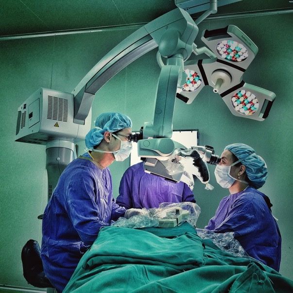 Hong t&oacute;c trước quạt, c&ocirc; g&aacute;i bị lột bay da đầu - Ảnh 1.