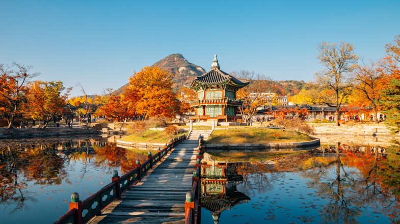 H&agrave;n Quốc cấp visa 10 năm cho c&ocirc;ng d&acirc;n Việt Nam - Ảnh 1.