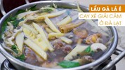 Lẩu gà lá é cay xè giải cảm ở Đà Lạt
