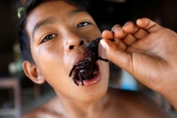 R&ugrave;ng m&igrave;nh m&oacute;n nhện rừng đặc sản ở B&igrave;nh Thuận - Ảnh 11.
