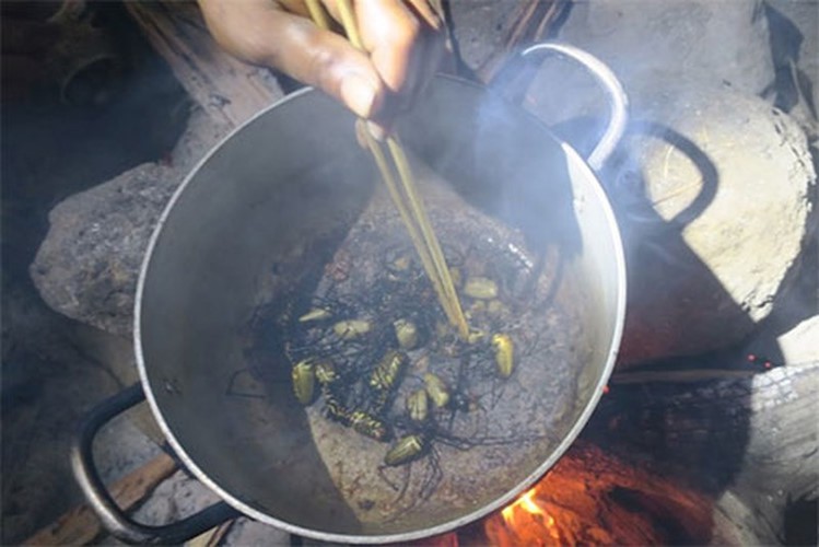 R&ugrave;ng m&igrave;nh m&oacute;n nhện rừng đặc sản ở B&igrave;nh Thuận - Ảnh 4.