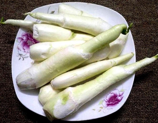 B&aacute;n 2.000 củ niễng mỗi ng&agrave;y, l&atilde;i cả trăm triệu đồng/th&aacute;ng - Ảnh 2.