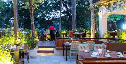 Mơ về vườn trong phố - Ảnh 1.