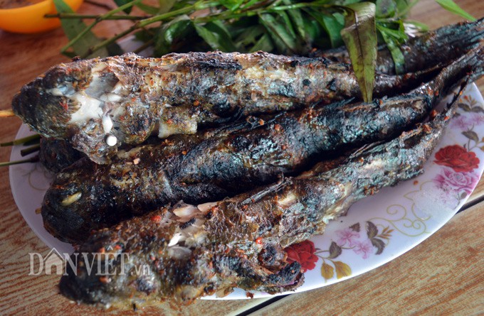Ngũ đại đặc sản không thể bỏ qua khi đến Đất Mũi - Ảnh 14.