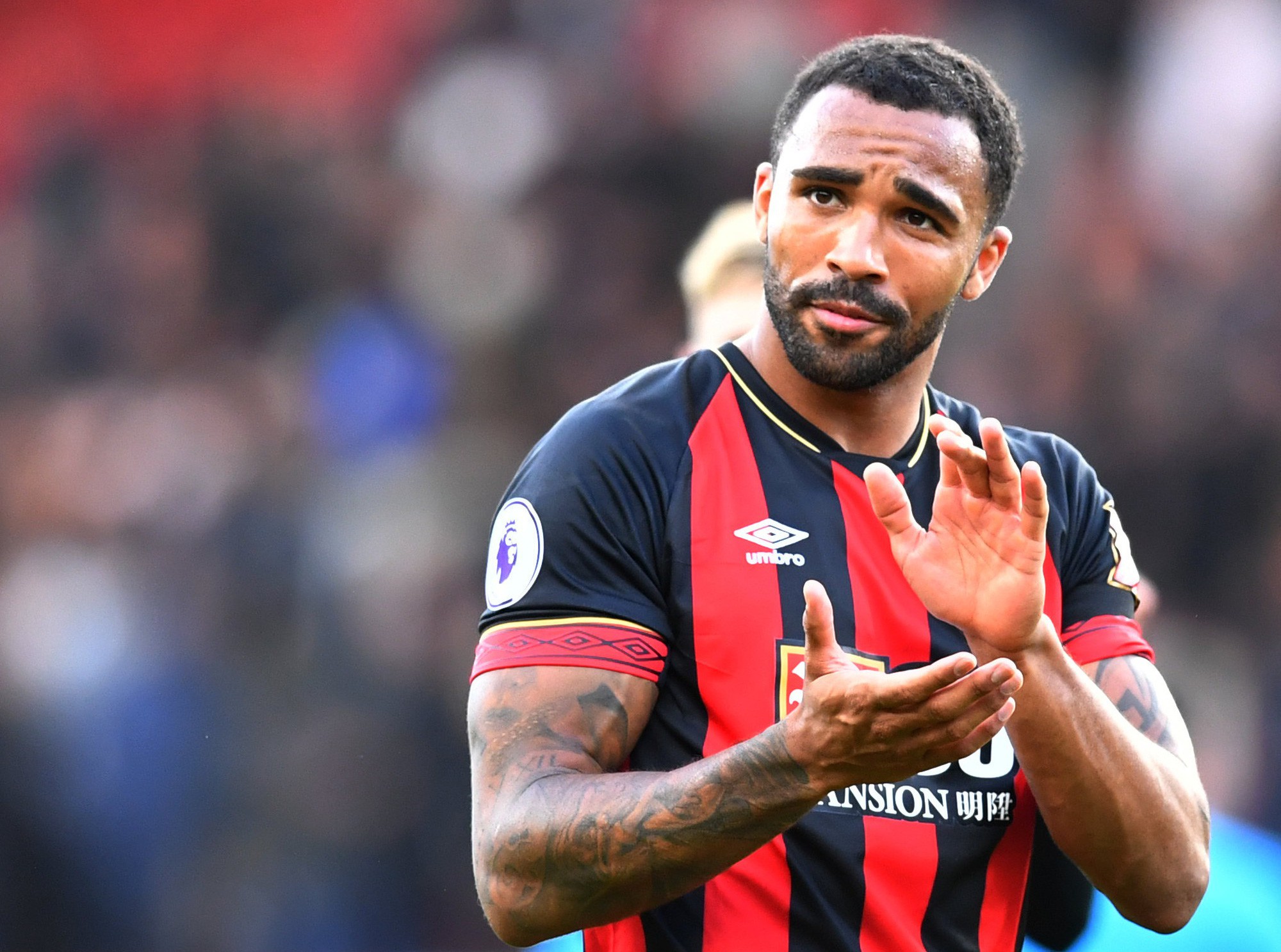 Xé lưới Man United, Callum Wilson "nhận quà" từ tuyển Anh