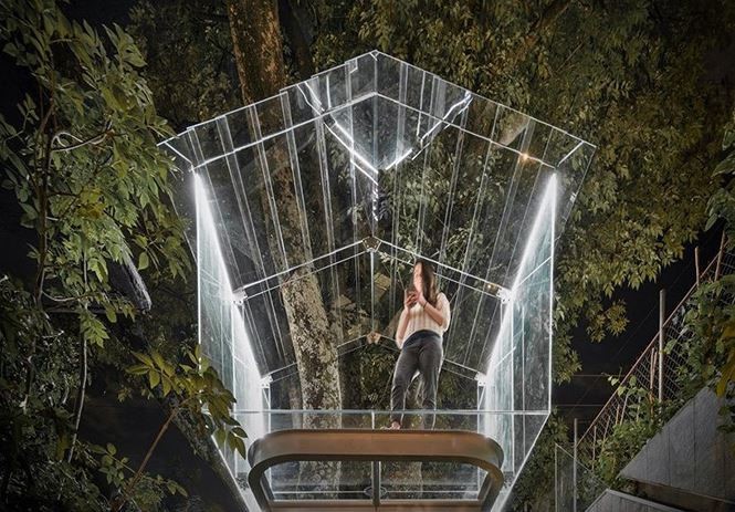 Chiêm ngưỡng nhà lơ lửng trên cây trong suốt độc nhất thế giới