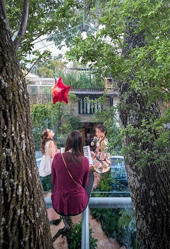Chi&ecirc;m ngưỡng nh&agrave; lơ lửng tr&ecirc;n c&acirc;y trong suốt độc nhất thế giới - Ảnh 2.