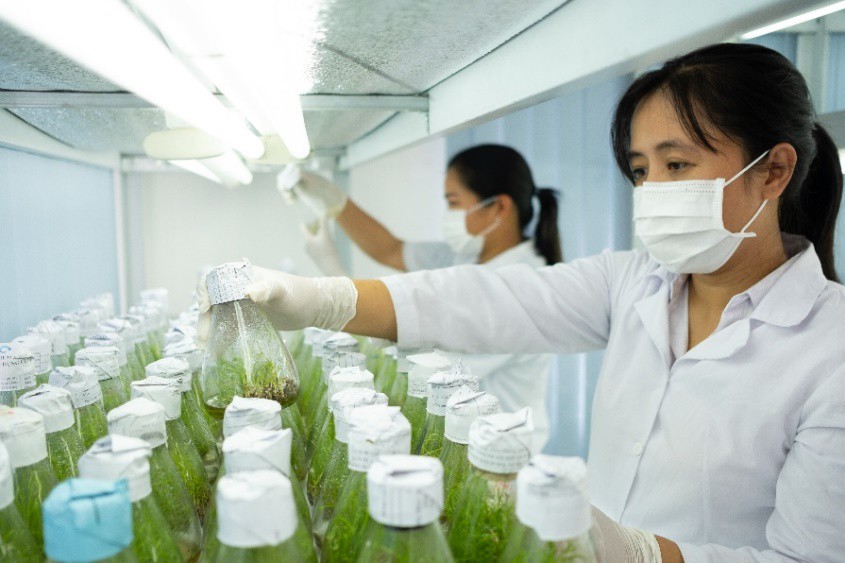 Đồng h&agrave;nh hỗ trợ, duy tr&igrave; lợi nhuận cho n&ocirc;ng d&acirc;n - Ảnh 1.