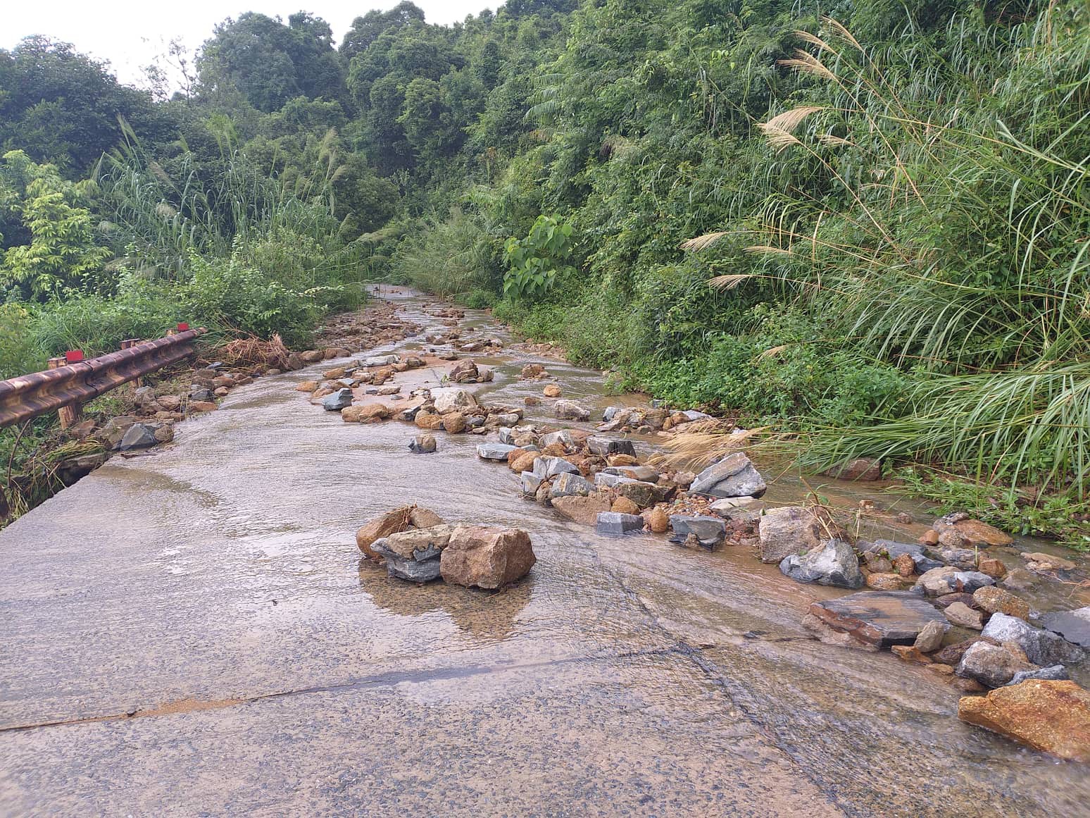 Bán đảo Sơn Trà sạt lở nghiêm trọng