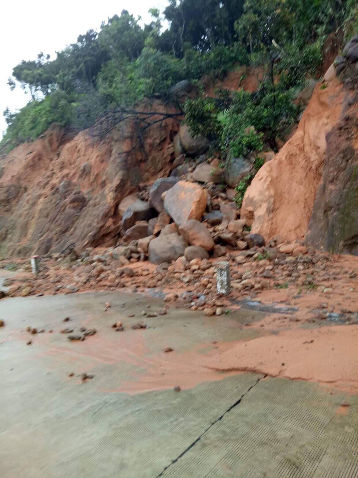B&aacute;n đảo Sơn Tr&agrave; sạt lở nghi&ecirc;m trọng - Ảnh 8.