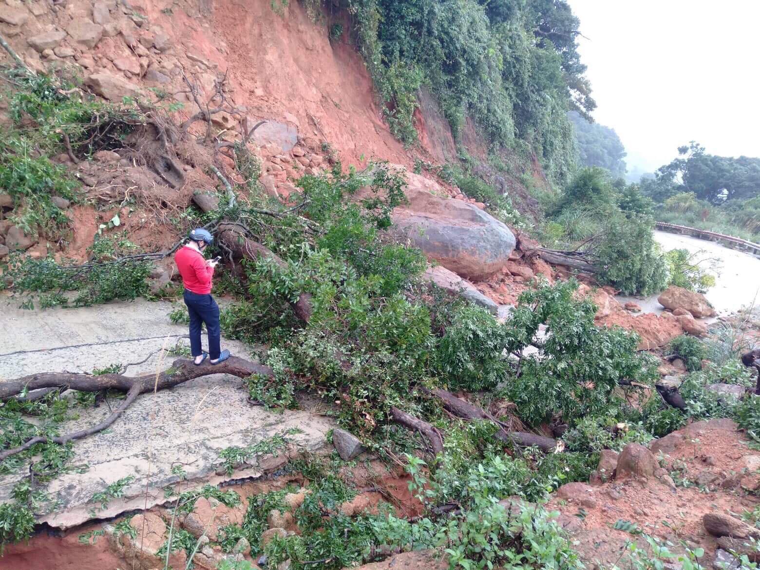B&aacute;n đảo Sơn Tr&agrave; sạt lở nghi&ecirc;m trọng - Ảnh 11.