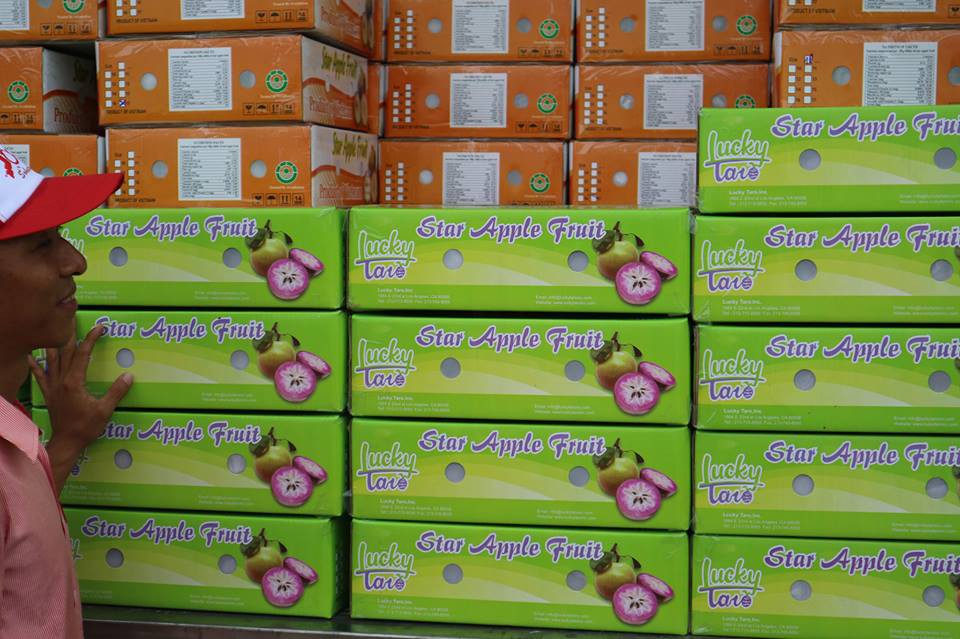 Tr&aacute;i v&uacute; sữa Việt Nam tại Mỹ c&oacute; gi&aacute; khoảng 350.000 đồng/kg - Ảnh 1.