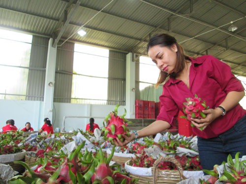 Thị trường Trung Quốc ngày càng khắt khe - Ảnh 1.